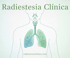 Sistema Respiratório - Radiestesia Clínica