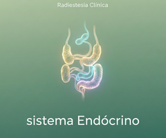 Sistema Endócrino - Radiestesia Clínica